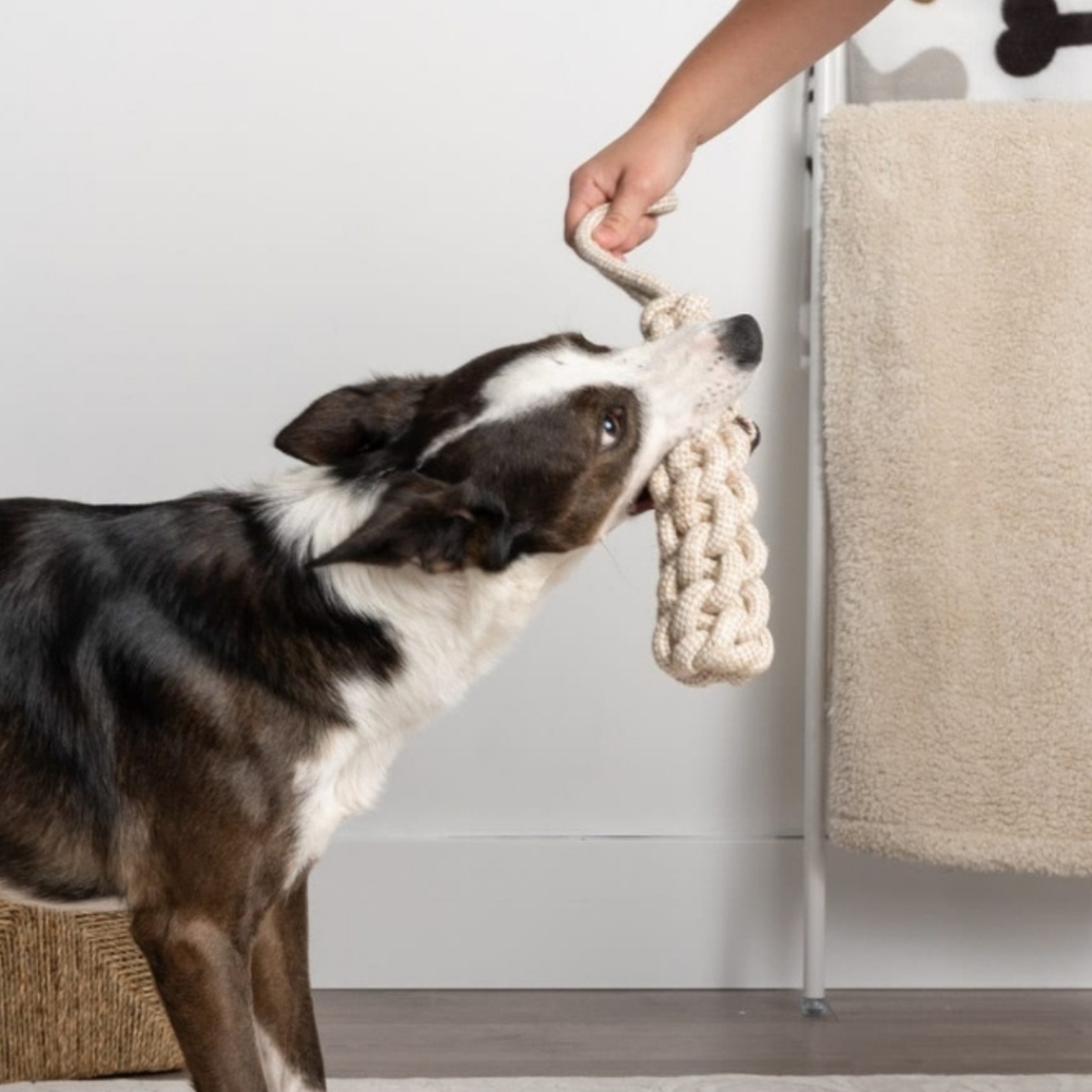 Jumbo Rope Toy For Dogs - Picture 2 of 2